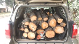 Plenty Pecans & Firewood 1st X 2.jpg