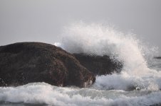 DSC_2124.jpg