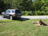 img_1776.jpg