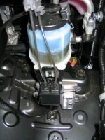 img_2632.jpg