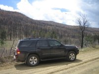 img_0775.jpg