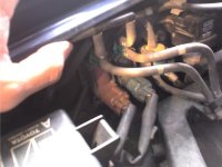 hoses2.jpg