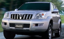 prado3.jpg