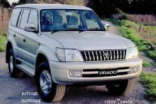 prado4.jpg