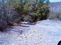 img_1171.jpg