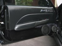 front door panel.jpg