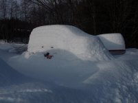 yota in snow1.jpg