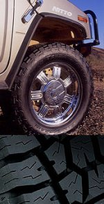 img_terra_8.jpg
