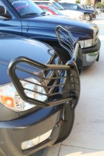 bumper5.jpg