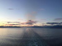 IMG_1251.jpg