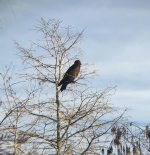 IMG_2878 - Version 2.jpg