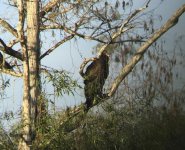 IMG_2898 - Version 2.jpg