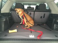 Piper in 4Runner.jpg