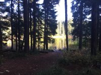IMG_1324.jpg