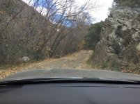 IMG_6398.jpg