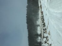 IMG_0768.jpg