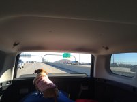 IMG_0773.jpg