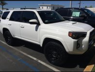 trd1.jpg trd1.jpg