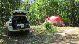 IMG_3782.jpg
