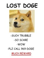 tumblr_static_qob76lakz5wk0c4ocoo84s8s.jpg