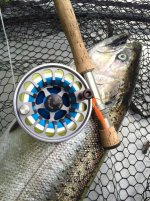 Reel Fish.jpg