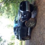IMG_0230.jpg