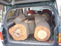 1200-1500 Lbs Of Green Live Oak Blocks To Cut & Split.JPG 1200-1500 Lbs Of Green Live Oak Blocks To Cut & Split.JPG