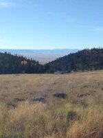 IMG_0519.jpg