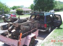 Oak & Pecan Limb Loads X 2, 3 Hrs Afternoon (.jpg