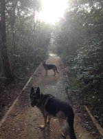 01_Jack Brooks_Trail.jpg