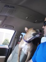 IMG_20150607_140251_758.jpg