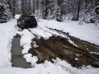 10858558_619892120260_4848135595252757151_n.jpg 10858558_619892120260_4848135595252757151_n.jpg