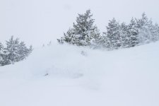 IMG_3304.jpg