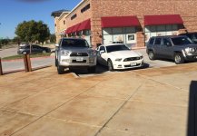 Mustang Prick.jpg