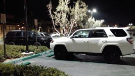 2trd.jpg