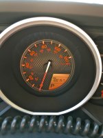 IMG_5224.jpg