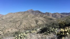 IMG_6413.jpg