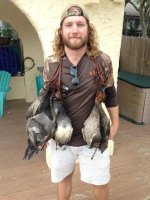 Ducks 2013-11.jpg