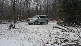 woods1.jpg