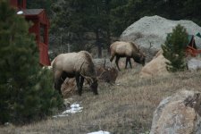 img_9350.jpg