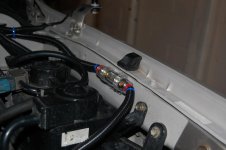DSC_5248.jpg