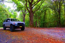 DSC_4566m_edited-1.jpg