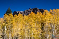 High Mesa Aspen's.jpg