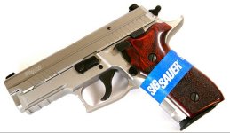 sig p229 elite.jpg