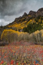 Layers of Color.jpg