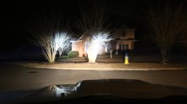IMG_4160.jpg IMG_4160.jpg