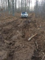 Mud.jpg