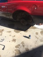 IMG_0625.jpg IMG_0625.jpg
