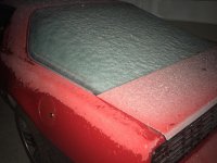 IMG_0597.jpg IMG_0597.jpg