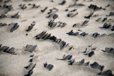 MicroDuneStructure.jpg MicroDuneStructure.jpg
